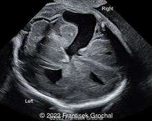 Case of the Week #567 image
