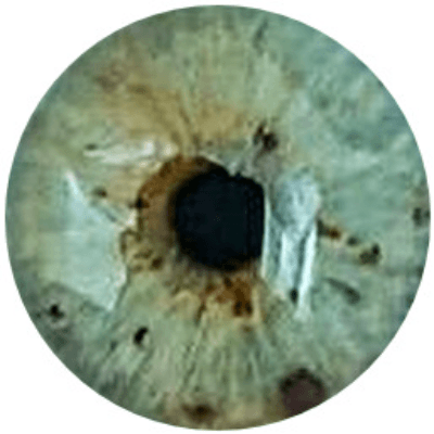 Miğraci Tosun Profile Pic