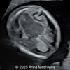 Case of the Week #625