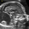 Case of the Week #622