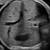 Case of the Week #632