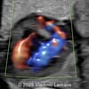 Case of the Week #623