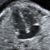 Case of the Week #629