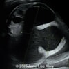 Case of the week #631