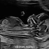Case of the Week #636