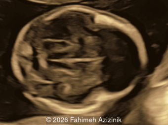 Case of the Week #645