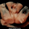 Case of the Week #649